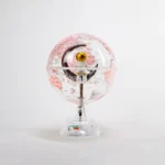 Factory Sale Transparent Globe Decor Creative Living Room Desk 15.3CM 6 Inch Rotation Decoration Earth Globe - Image 4