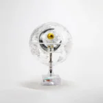 Factory Sale Transparent Globe Decor Creative Living Room Desk 15.3CM 6 Inch Rotation Decoration Earth Globe - Image 5